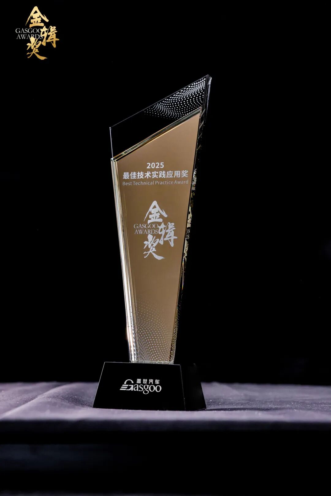 INGIN Wins the 2025 Gasgoo Awards for Best Technical Practice Award(图2)